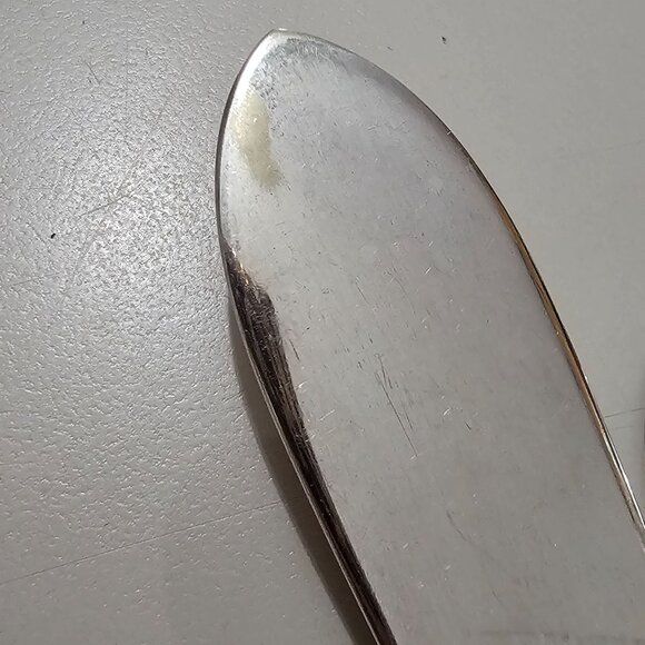 International Silver Tulip Serving Set 2pc cheese knife sugar spoon floral - Picture 6 of 11